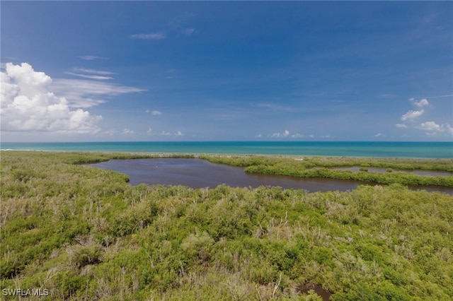 6849 Grenadier Blvd Unit 1803, Naples, FL 34108 - photo 8