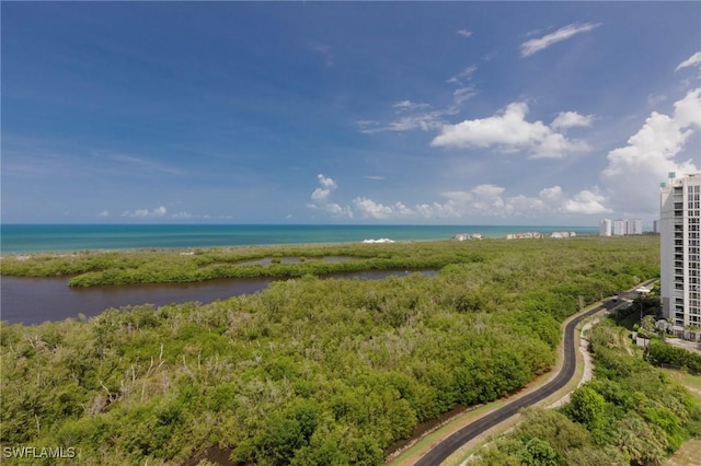 6849 Grenadier Blvd Unit 1803, Naples, FL 34108 - photo 10