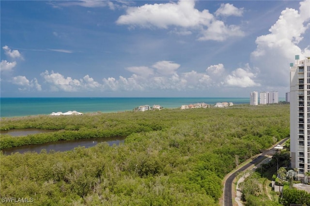 6849 Grenadier Blvd Unit 1803, Naples, FL 34108 - photo 11