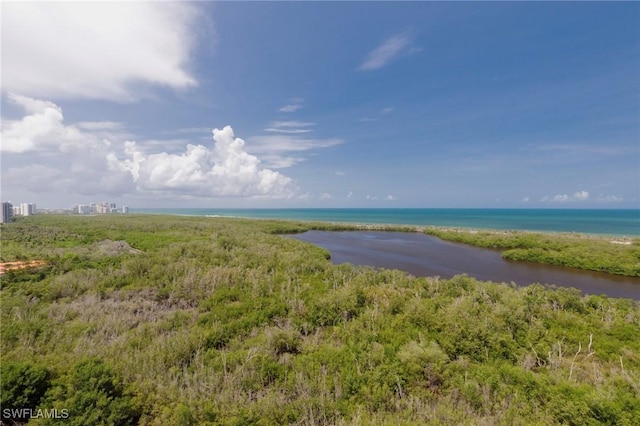 6849 Grenadier Blvd Unit 1803, Naples, FL 34108 - photo 9