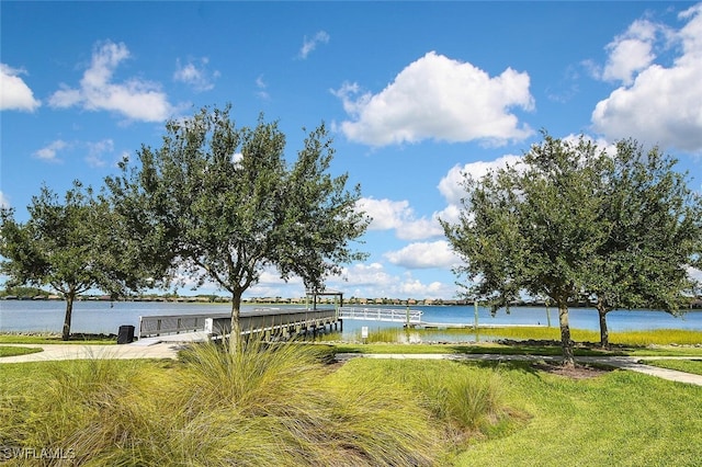 14227 Wild Timber Ct, Estero, FL 33928 - photo 44
