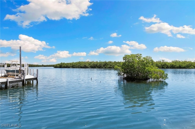 7 Blue Hill Ct, Marco Island, FL 34145 - photo 45