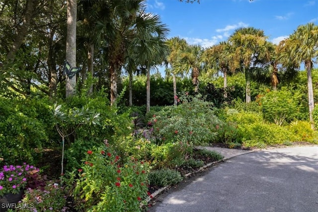 20010 Barletta Ln Unit 622, Estero, FL 33928 - photo 41