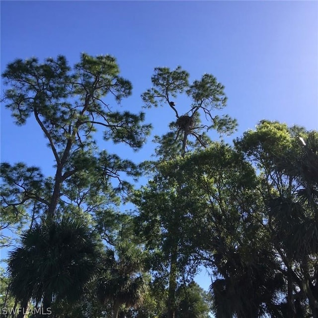 436 Crestwood Ln, Naples, FL 34113 - photo 34