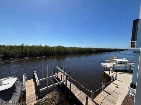5816 Shell Cove Dr Unit 118, Cape Coral, FL 33914 - photo 32