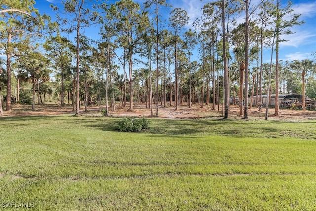 463 22nd Ave NE, Naples, FL 34120 - photo 35