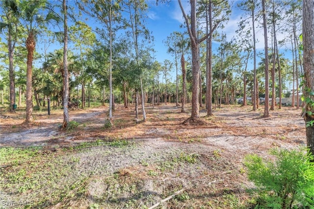 463 22nd Ave NE, Naples, FL 34120 - photo 36