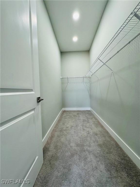 1062 Jay Ct, Labelle, FL 33935 - walk in closet with carpet