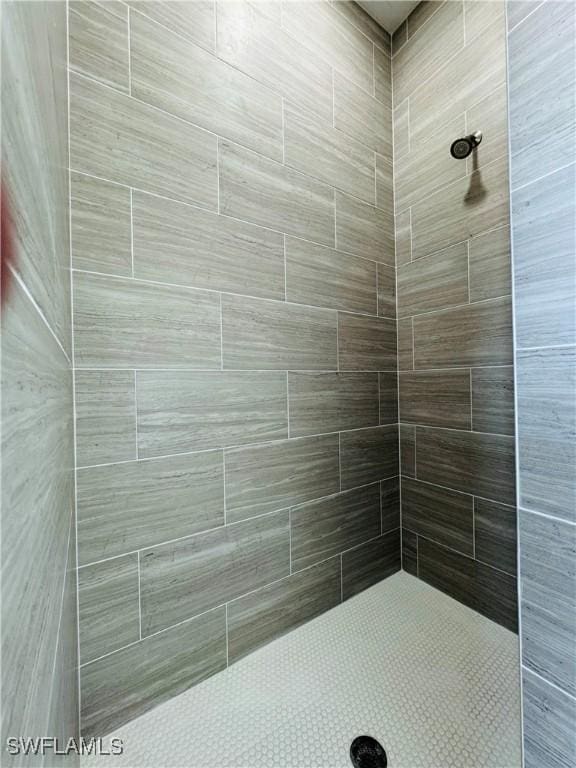 1062 Jay Ct, Labelle, FL 33935 - full bath featuring a tile shower