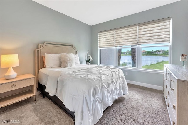 8021 Calle Canovas Ct, Naples, FL 34114 - photo 17