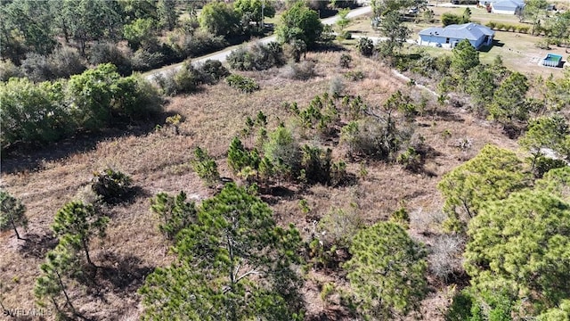 64th Ave NE, Naples, FL 34120 - photo 4