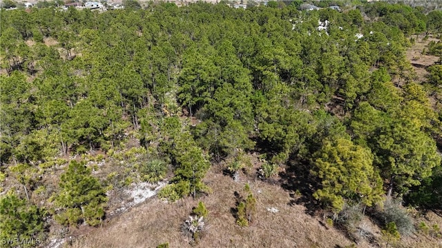 64th Ave NE, Naples, FL 34120 - photo 16