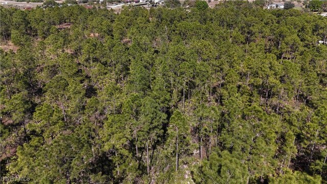 64th Ave NE, Naples, FL 34120 - photo 23