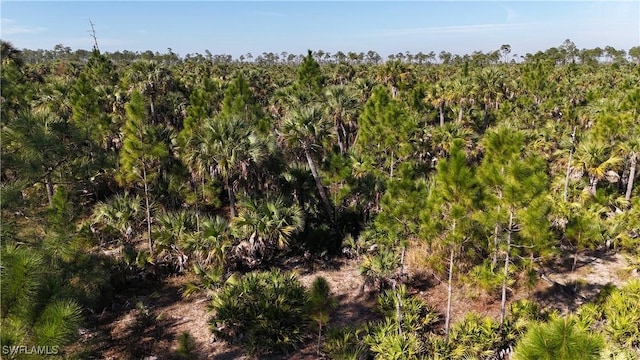 64th Ave NE, Naples, FL 34120 - photo 30