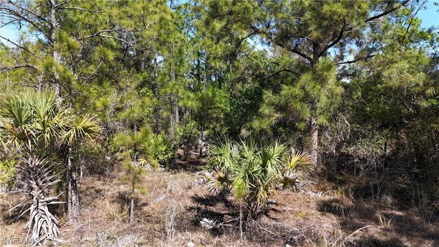 64th Ave NE, Naples, FL 34120 - photo 31