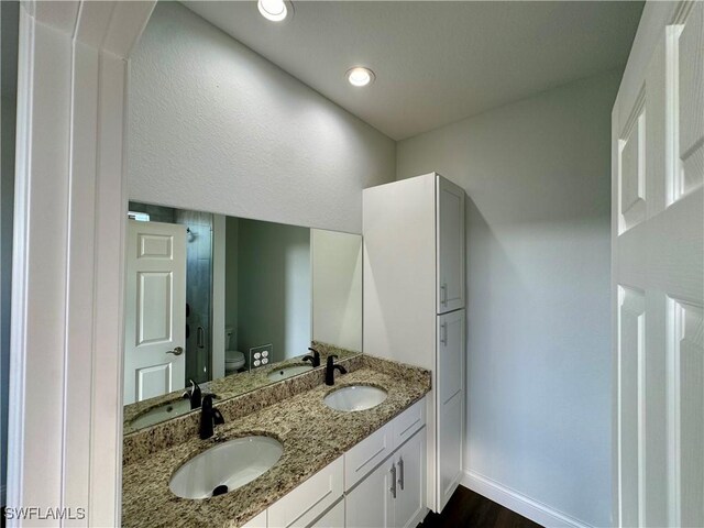 538 David Cir, Labelle, FL 33935 - bathroom with toilet, double vanity, baseboards, wood finished floors, and recessed lighting