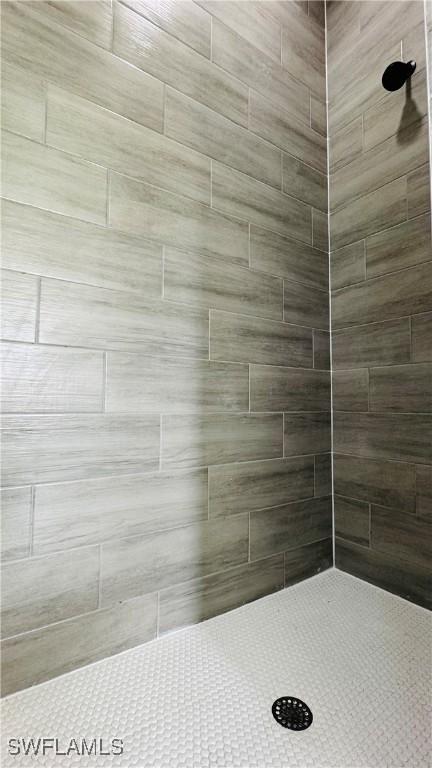 1115 Leader St, Labelle, FL 33935 - bathroom with tiled shower