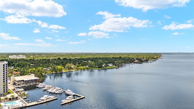 1920 Virginia Ave Unit 102, Fort Myers, FL 33901 - water view