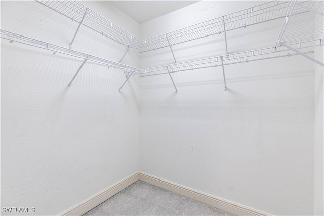 793 Regency Reserve Cir Unit 4501, Naples, FL 34119 - spacious closet featuring light carpet