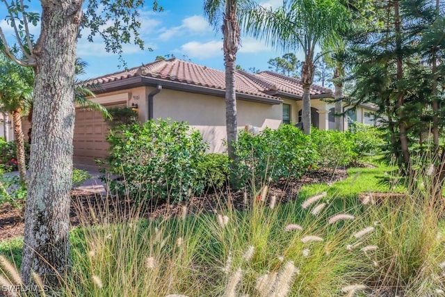 9101 Water Tupelo Rd, Fort Myers, FL 33912 - photo 4