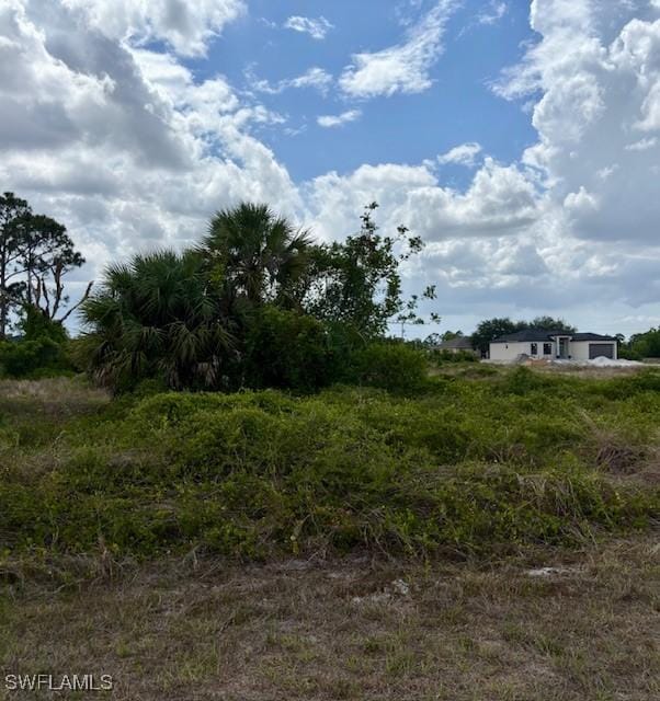 764 Fleming Ave S, Lehigh Acres, FL 33974 - photo 4