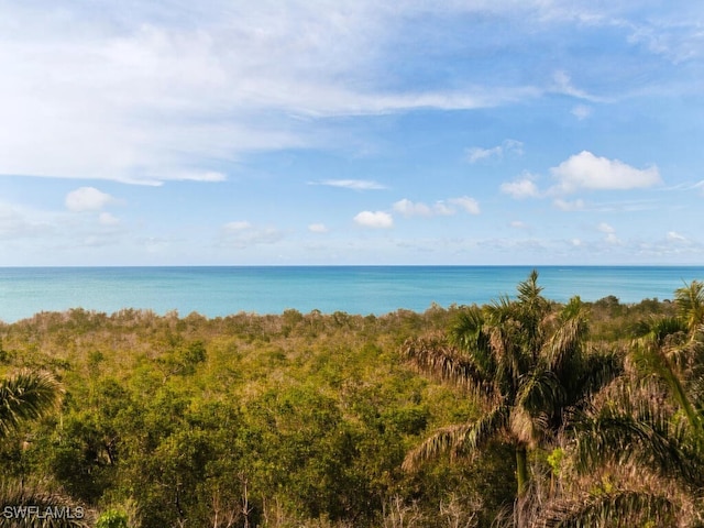 5601 Turtle Bay Dr Unit 404, Naples, FL 34108 - photo 2