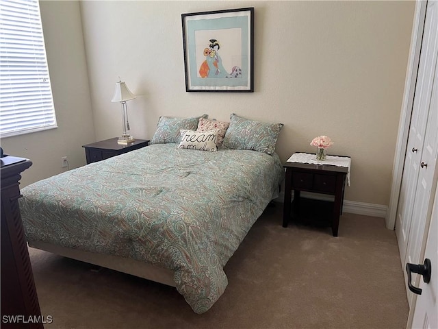 11010 Longwing Dr, Fort Myers, FL 33912 - view of carpeted bedroom