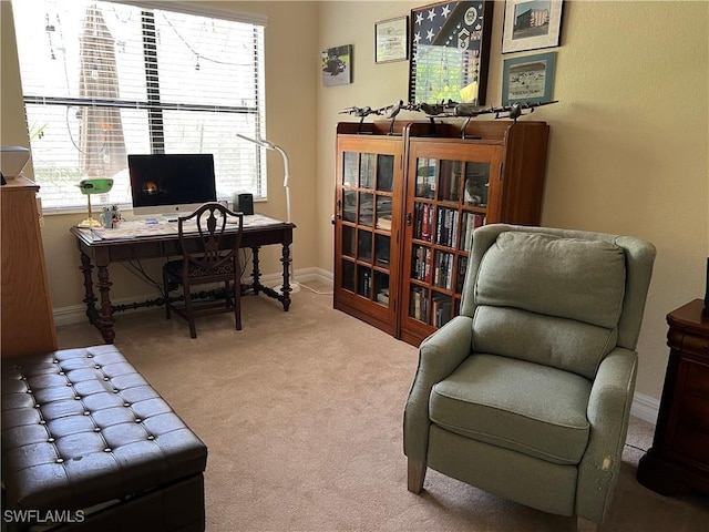 11010 Longwing Dr, Fort Myers, FL 33912 - carpeted office space with baseboards