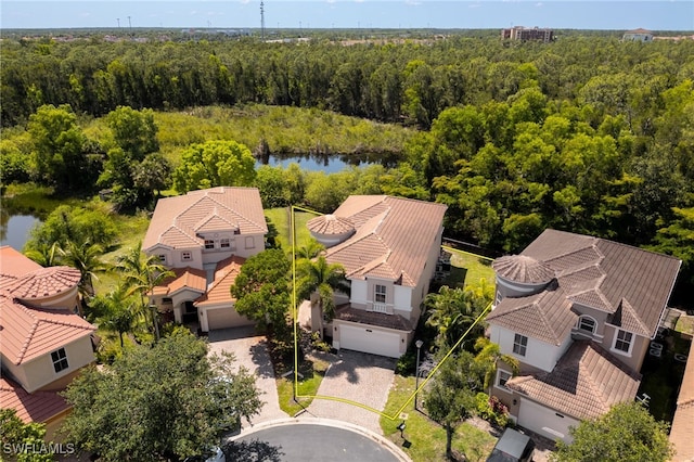 10261 S Silver Palm Dr, Estero, FL 33928 - photo 38