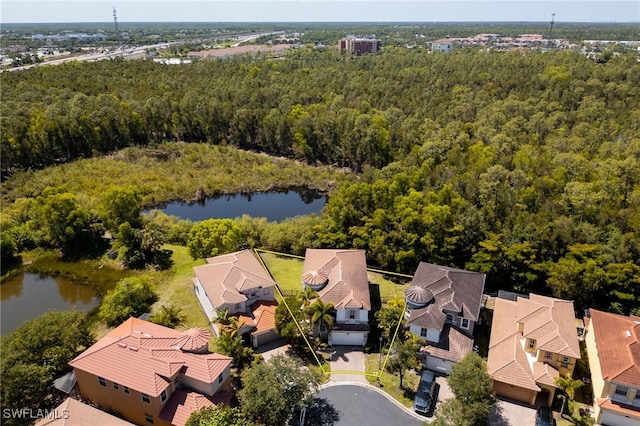 10261 S Silver Palm Dr, Estero, FL 33928 - photo 39