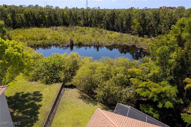 10261 S Silver Palm Dr, Estero, FL 33928 - photo 37