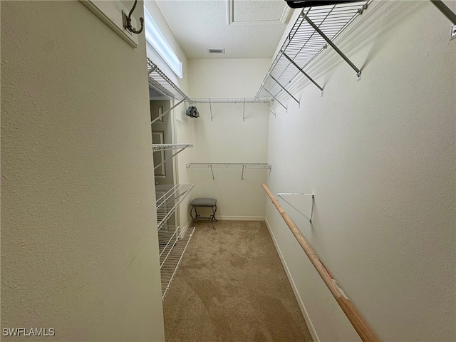 walk in closet featuring carpet flooring