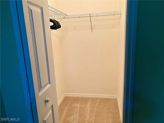 spacious closet featuring carpet floors