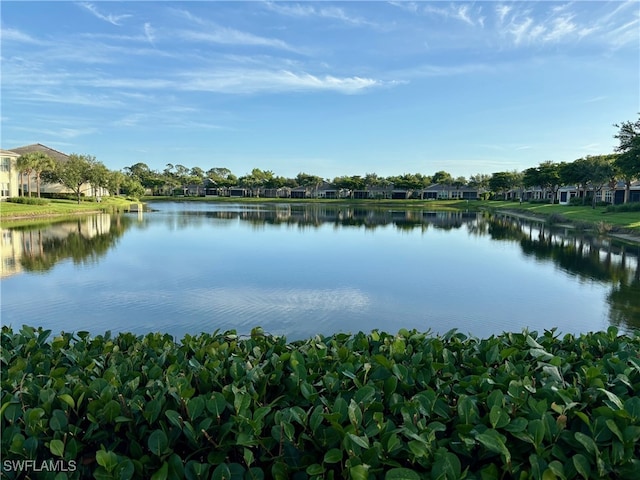 water view