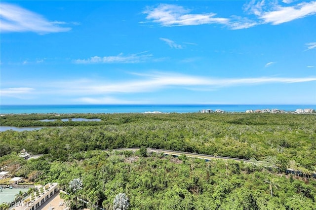 7117 Pelican Bay Blvd Unit 1607, Naples, FL 34108 - photo 47