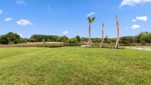 2937 Heritage Pines Dr, Fort Myers, FL 33905 - photo 32