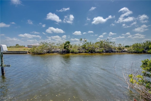 829 NW 33rd Pl, Cape Coral, FL 33993 - photo 49