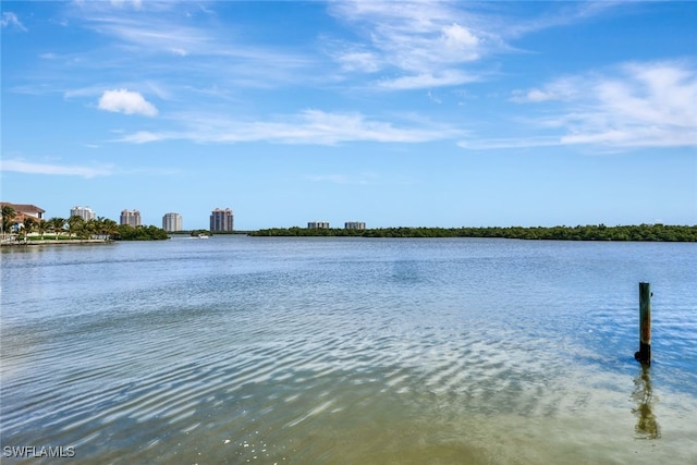 26876 Mclaughlin Blvd, Bonita Springs, FL 34134 - photo 42