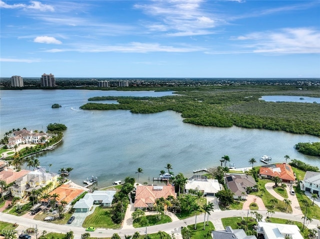 26876 Mclaughlin Blvd, Bonita Springs, FL 34134 - photo 45