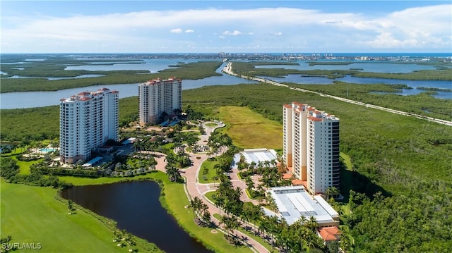 1050 Borghese Ln Unit 906, Naples, FL 34114 - aerial view of a nearby body of water and apartment complex / building