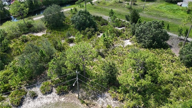 428 Mcclure St, Lehigh Acres, FL 33972 - photo 2