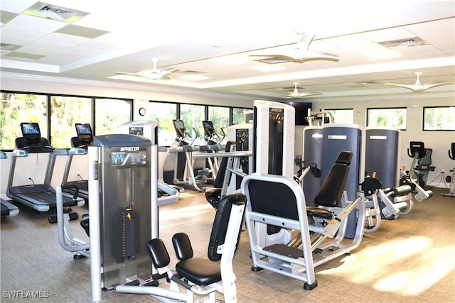 3685 Amberly Cir Unit D303, Naples, FL 34112 - photo 45