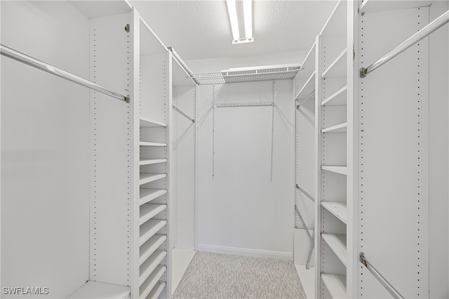 4788 San Carlo Ct, Naples, FL 34109 - photo 14