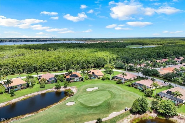 10026 Lions Bay Ct, Naples, FL 34120 - aerial view of residential area featuring a nearby body of water