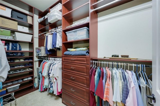 10026 Lions Bay Ct, Naples, FL 34120 - spacious closet with carpet floors