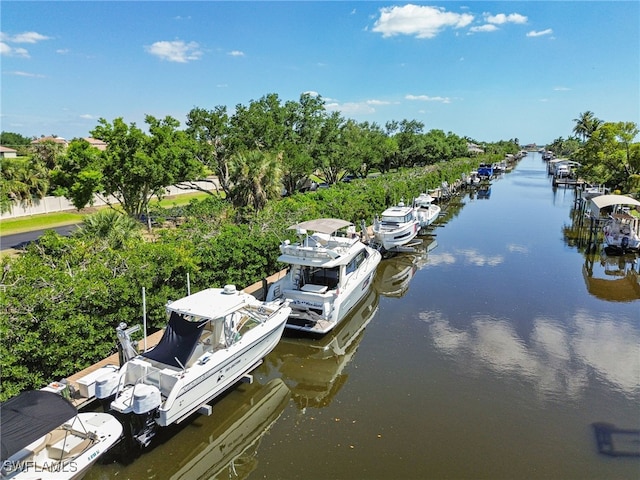 12601 Apopka Ct, North Fort Myers, FL 33903 - photo 43