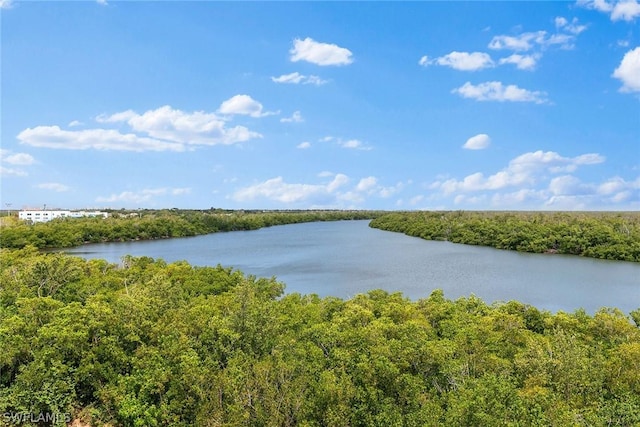 100 Stevens Landing Dr Unit 305, Marco Island, FL 34145 - photo 2