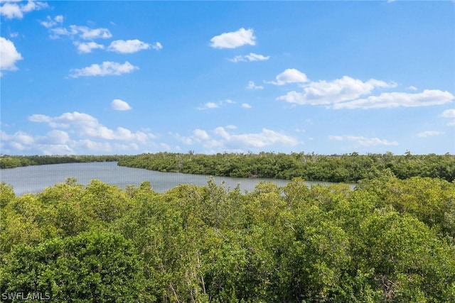 100 Stevens Landing Dr Unit 305, Marco Island, FL 34145 - photo 3