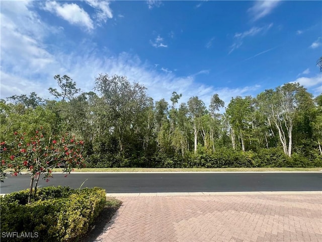 12060 Lucca St Unit 102, Fort Myers, FL 33966 - photo 5
