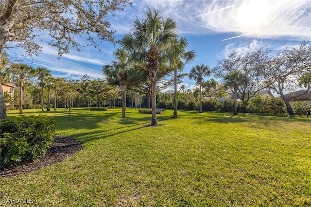 12060 Lucca St Unit 102, Fort Myers, FL 33966 - photo 23